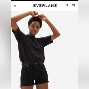 cheeky denim everlane shorts